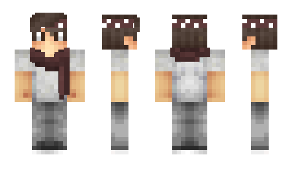 Minecraft skin Articus