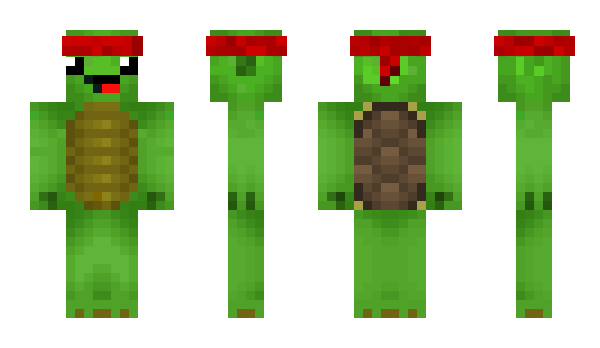 Minecraft skin Turtle16
