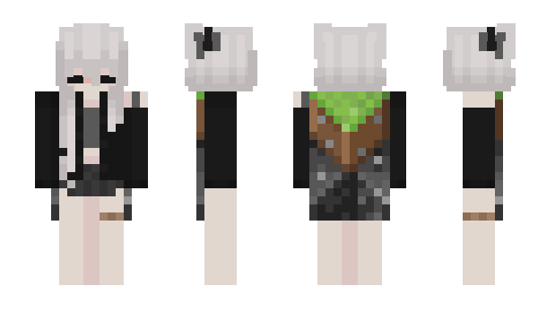 Minecraft skin Liirii