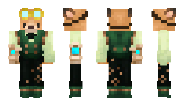 Minecraft skin TNNFIS