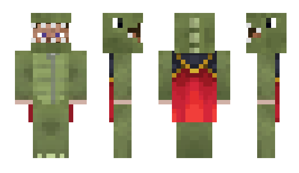 Minecraft skin kingcanine