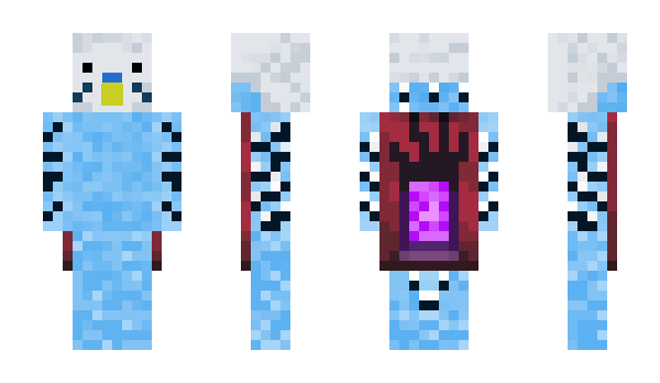 Minecraft skin ido567