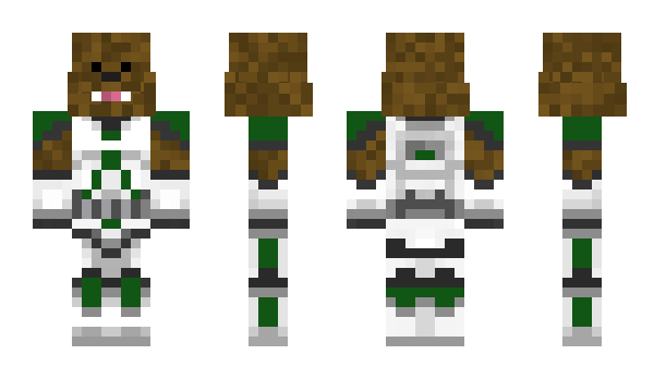 Minecraft skin Akinet