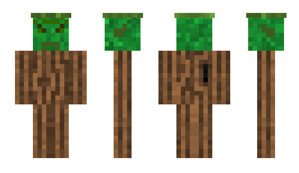 Minecraft skin ArseniyKaminskiy