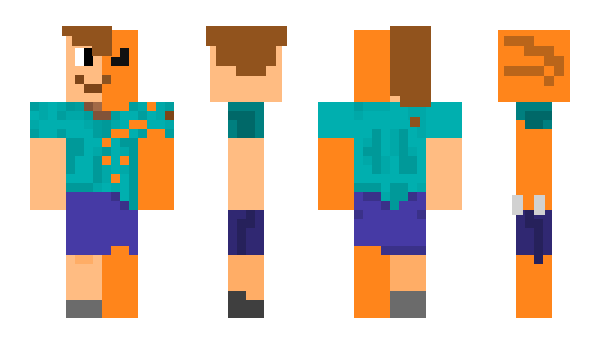 Minecraft skin Arashi_fox