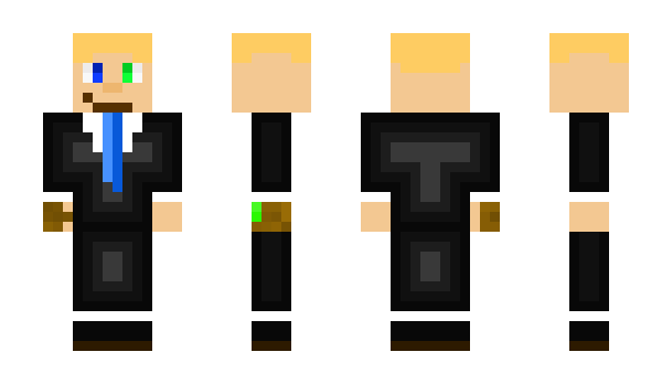 Minecraft skin PEGASYS