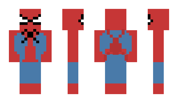 Minecraft skin pp_person