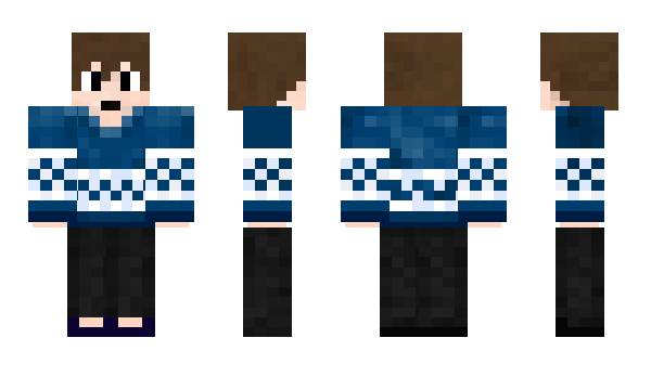 Minecraft skin Beerptiste