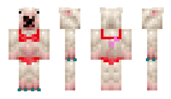 Minecraft skin abunaidoge