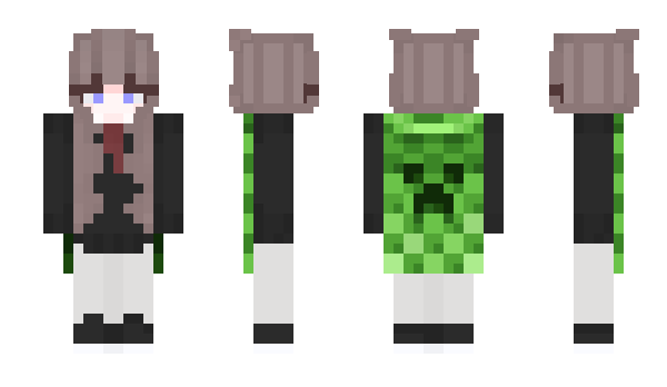 Minecraft skin Bricksets