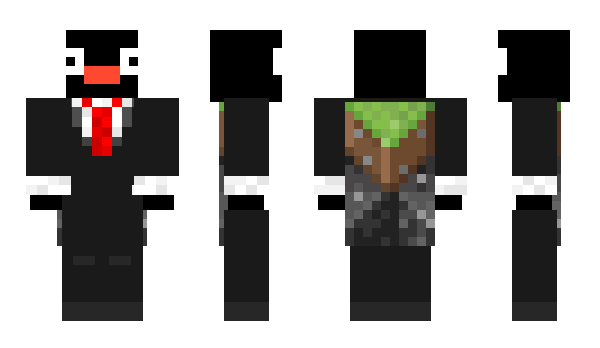 Minecraft skin TintelTies