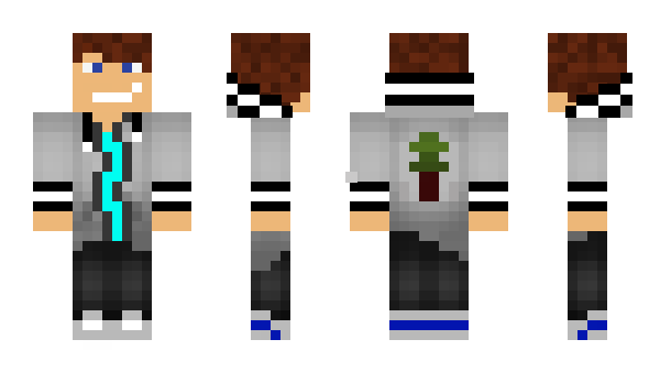 Minecraft skin 5395
