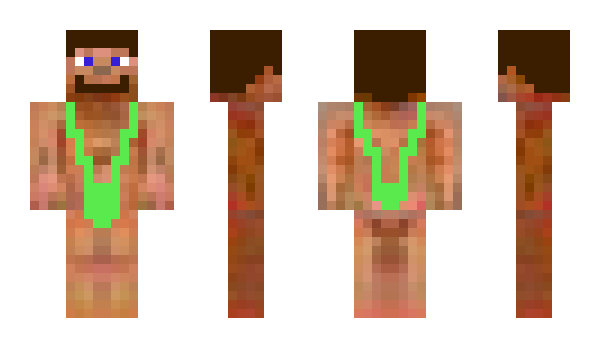 Minecraft skin Dysfunction