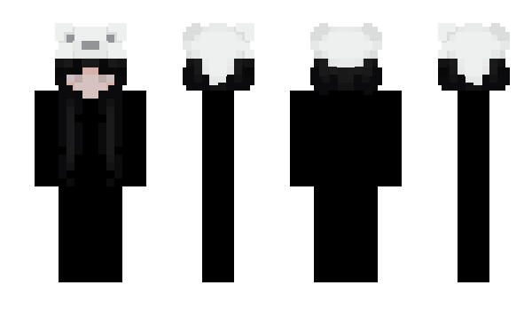 Minecraft skin zqns