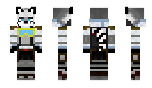 Minecraft skin Raccoon_stalker