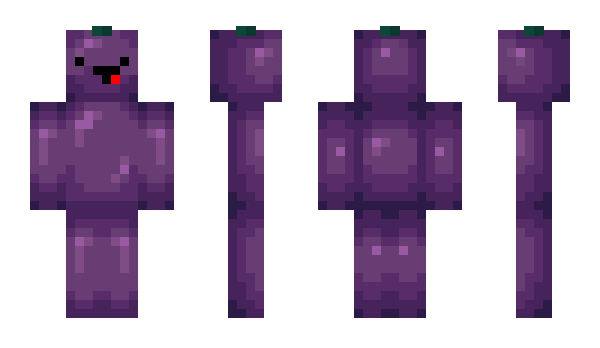 Minecraft skin Holitix