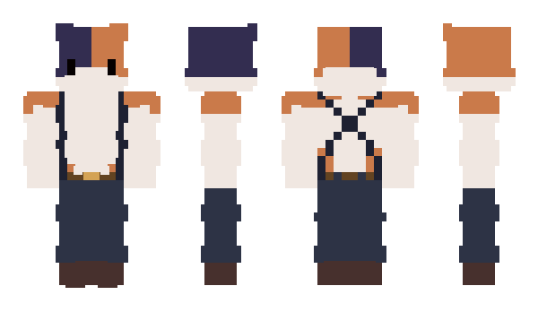 Minecraft skin DsErd