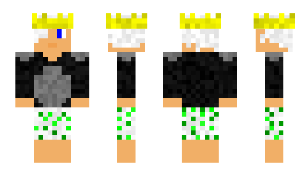 Minecraft skin ViPKamillekVipek