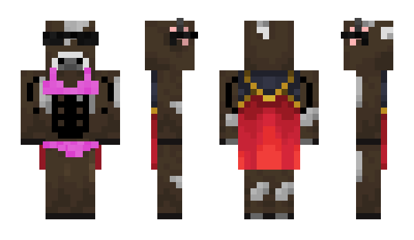 Minecraft skin NickNacks49
