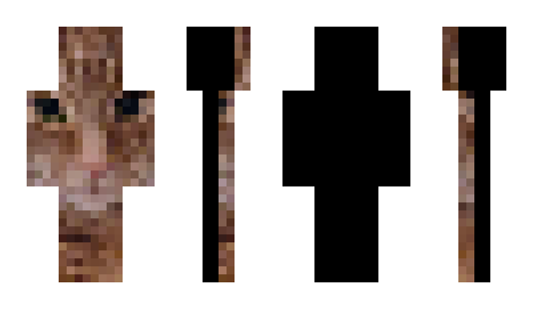 Minecraft скін по ніку IC_1