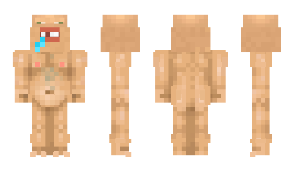 Minecraft skin seyhk