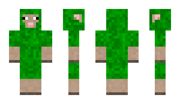 Minecraft skin Duchovnyy