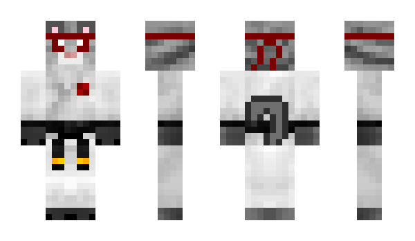 Minecraft skin MiniNever