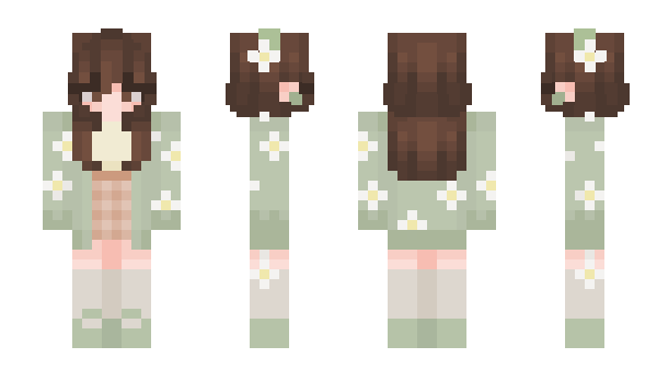 Minecraft skin L1LE