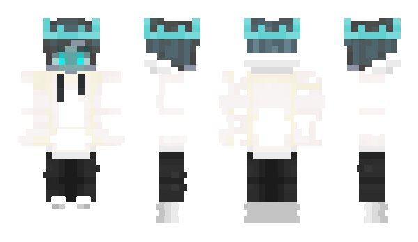 Minecraft skin FalseKing