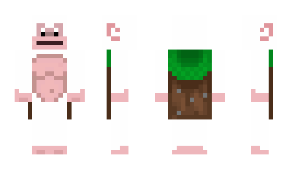 Minecraft skin Wggr