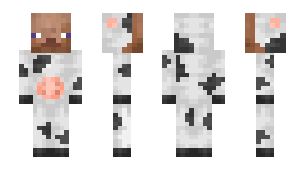 Minecraft skin Hoodn