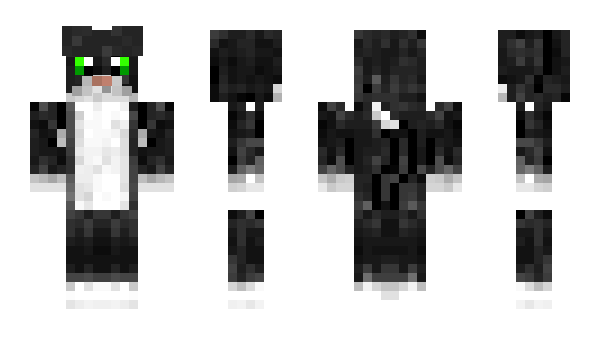 Minecraft скин по нику pableau