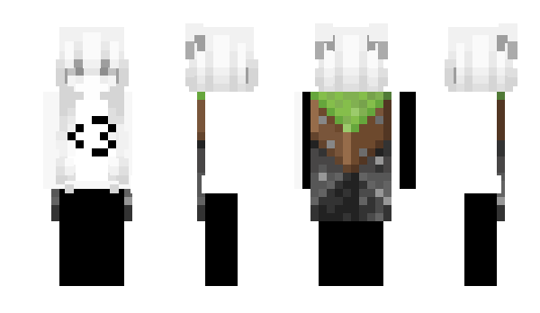 Minecraft skin Wimpl