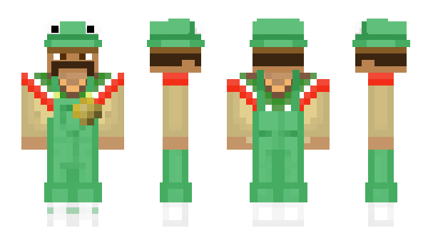 Minecraft skin ElFrog