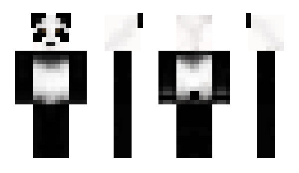 Minecraft skin Pandaaq