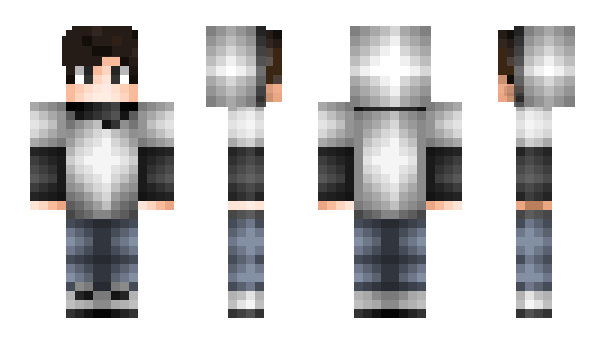 Minecraft skin BONTIK