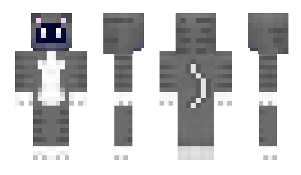 Minecraft skin TvNauta