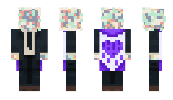 Minecraft skin Anixity