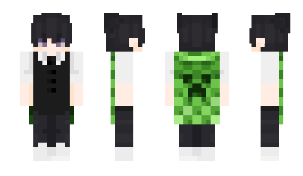 Minecraft skin wooLregeR