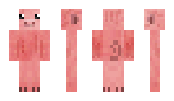 Minecraft skin Tashpig1