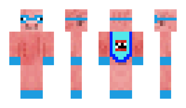 Minecraft skin crazypig1111