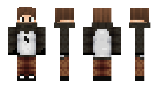 Minecraft skin Brtx