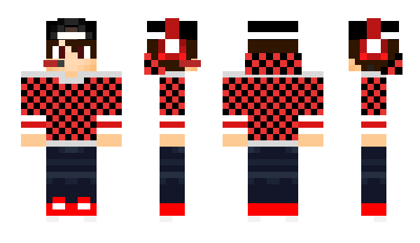 Minecraft skin Pixeli_250