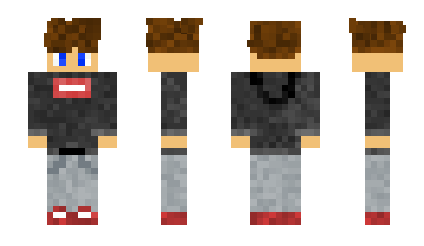 Minecraft skin Noi_Loi