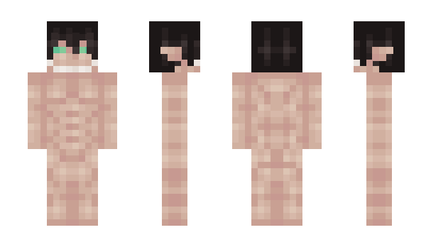 Minecraft skin lapola