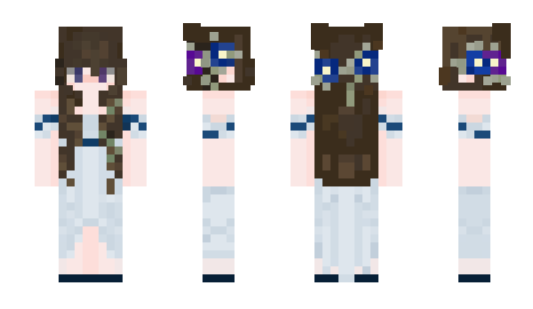 Minecraft skin Parsio