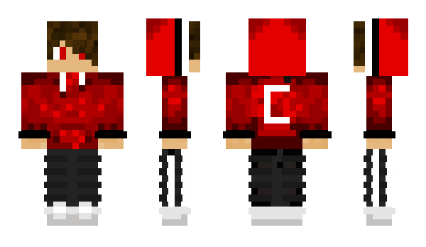 Minecraft skin Tenwester_