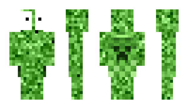 Minecraft скин по нику ccbra