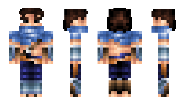 Minecraft skin reflux