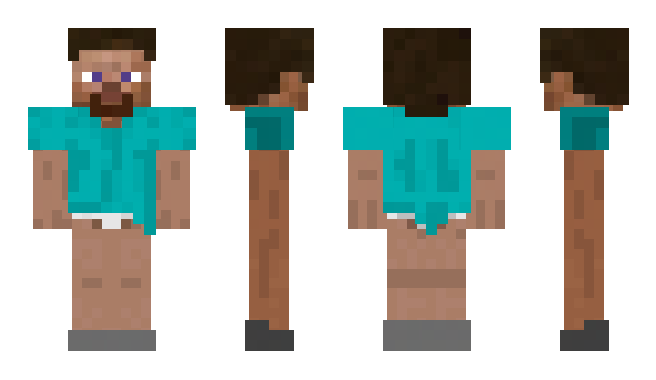 Minecraft skin FancyPants